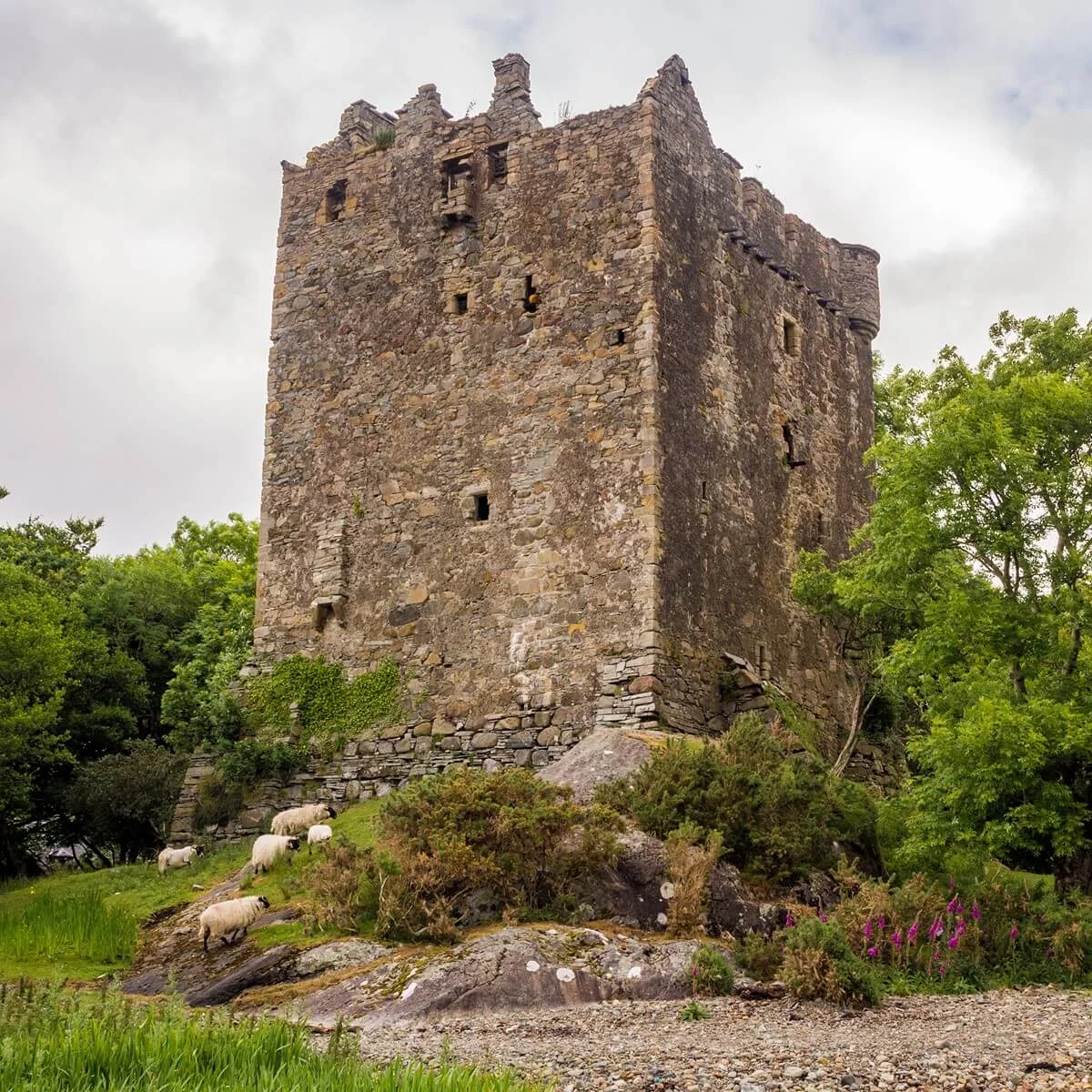 Isle of Mull Castles and Gardens - Benmore Estate
